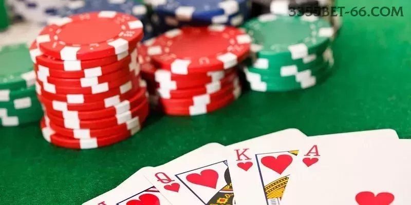 3355bet multi dispositivo